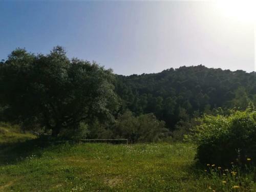 Wood & Stone Dream View House A