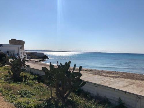 Apartamento Vacation Apulia Properties - Appartamento Vento