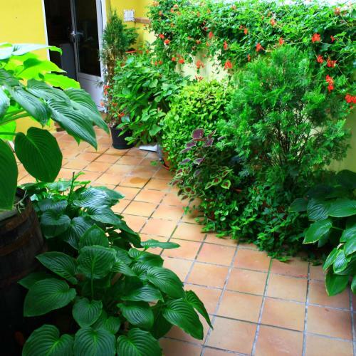 Hostal Escart�n
