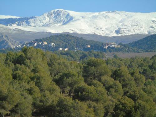 Apartamentos Tur�sticos Cumbres Verdes