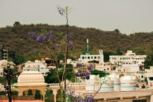 Hotel Tripli Udaipur