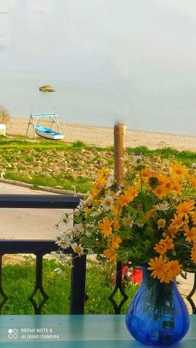 Apartamento Socrates Sea View