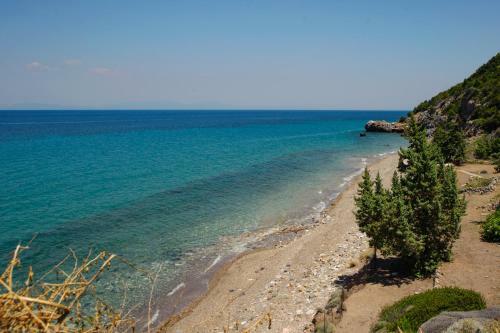 Apartamento Athina Studios
