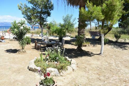Apartamento Bouka Beachfront Bungalows
