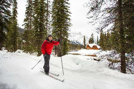 Hotel Emerald Lake Lodge - Deluxe