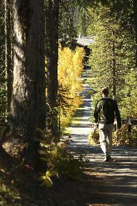 Hotel Emerald Lake Lodge - Deluxe