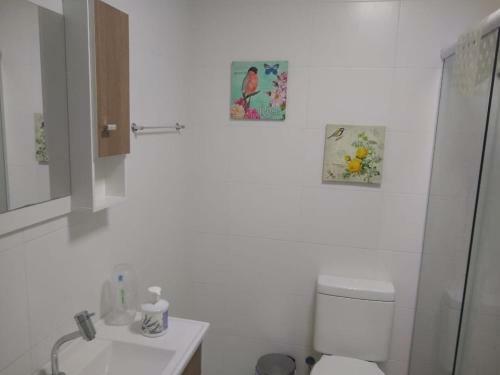 Apartamento Praia De Palmas