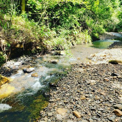 Albergue Eco Park Camping S�o Pedro Sp