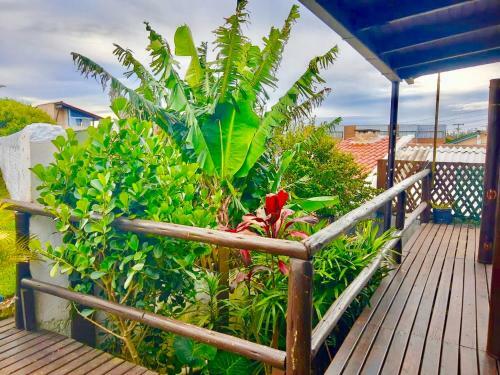 Chal�s Santa Marta
