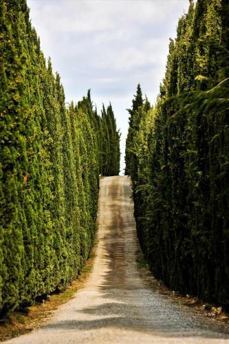 Agroturismo Fattoria La Torre