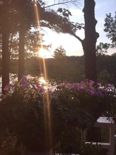 Lake Side Oasis