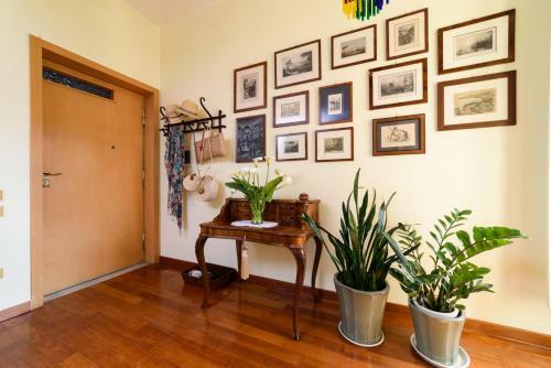La Camelia Apartment