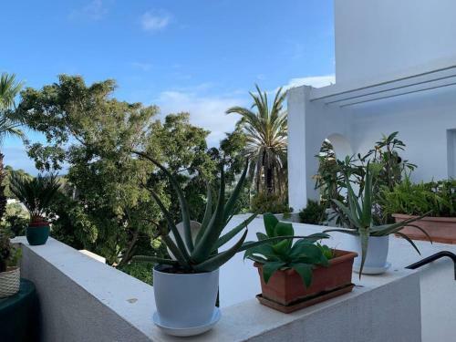 Apartamento Sotogrande Duplex 114 M2 Garden & Pool View.