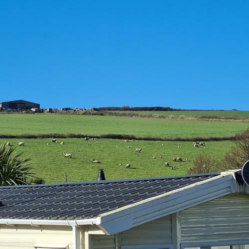 Pv70 Newquay Bay Resort