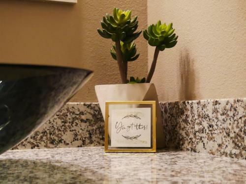 Luxury 3bd 3 1/2 Bath In Heart Of Houston!