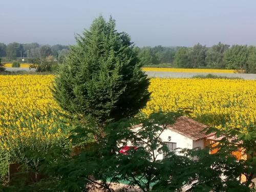 Agroturismo Le Cabanon Eco Boh�me