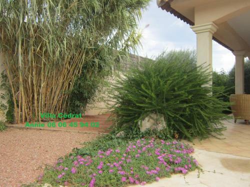 Villa C�drat