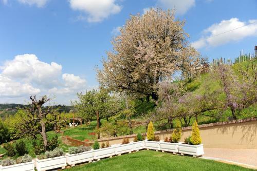 Bed & Breakfast Casalora