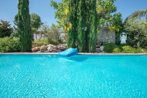 Hostal Felina Place By Shuli