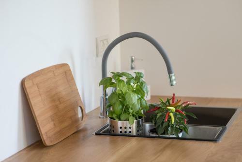 Hostal Felina Place By Shuli