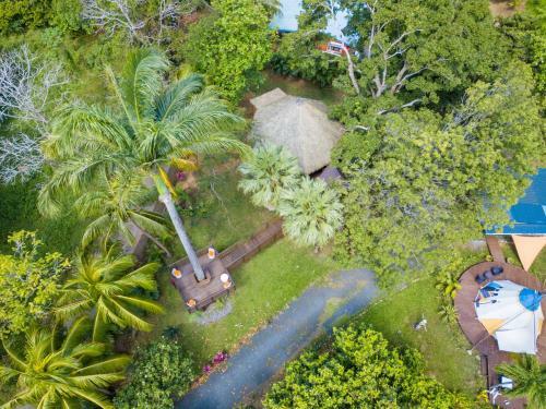 Insolite Arawakane G�te Du Manial