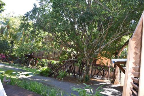 Insolite Arawakane G�te Du Manial