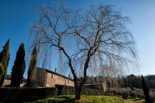 Agroturismo Il Borgo Di Mariano