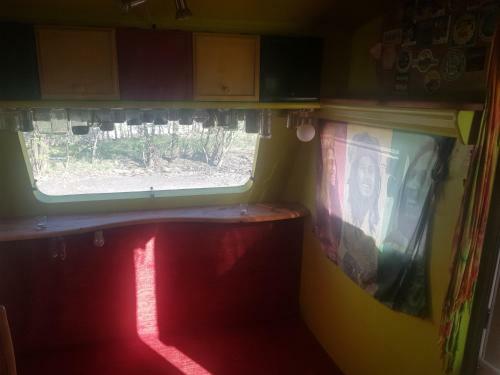 Ponyhof