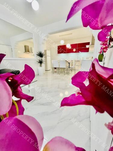 Apartamento Milos City Center Apt. 32