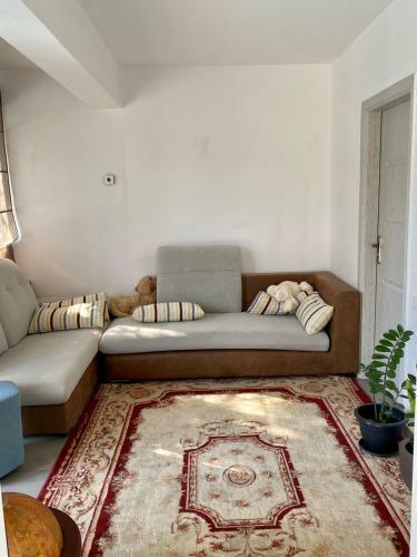 Apartamento Beautiful Quiet Ground Floor Appartment With Pool