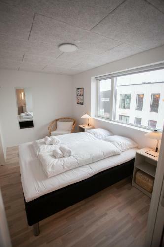 Apartamento New / 4 Br / Cozy / Walks / Hoyv�k