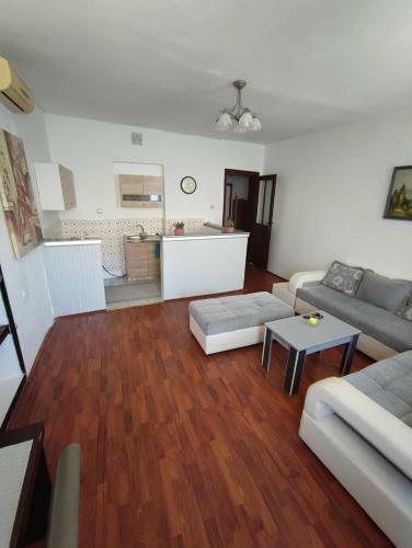 Apartment Viktor