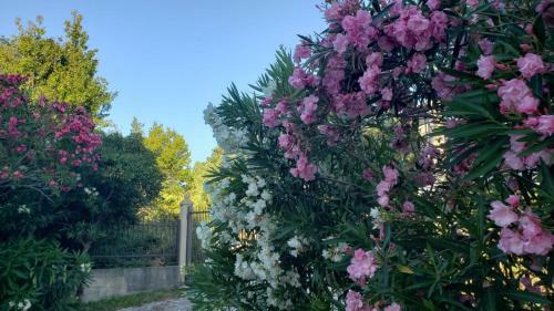 Apartamento Villa Roxana