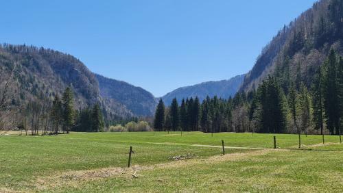 Radovna Mountain Cottage
