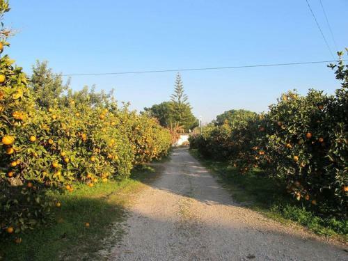 Quinta Vita- Vila Laranja