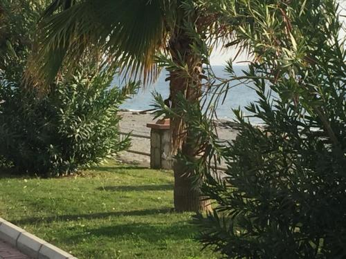 Apartamento Beachfront Fully Equipped Luxury Residence D19n