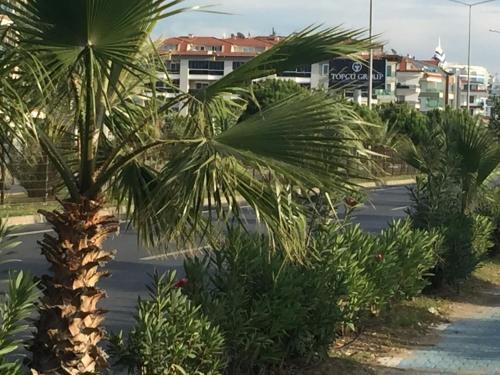 Apartamento Beachfront Fully Equipped Luxury Residence D19n