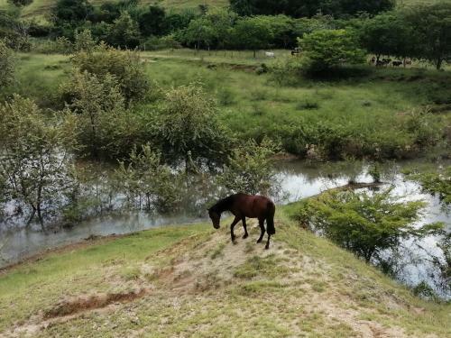Hotel Finca Ecoturistica Los Jagueyes