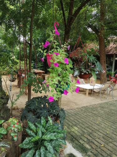 Hotel Finca Ecoturistica Los Jagueyes