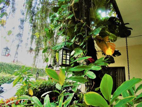 Hotel Las Magnolias