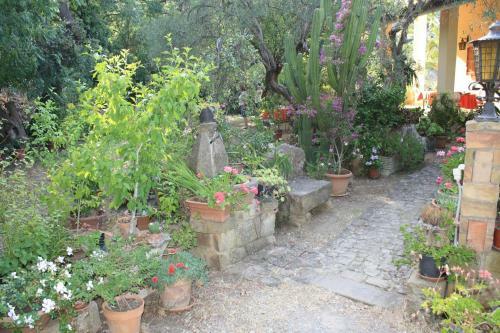 B&B Villa Calagioli