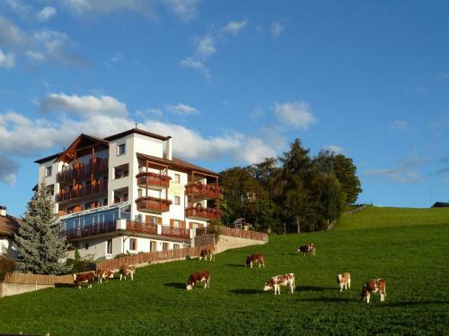 Hotel Pension Schlaneiderhof