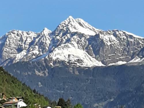 Hotel Gasthof Anny