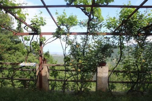 B&B Alla Palombara Di Rossano