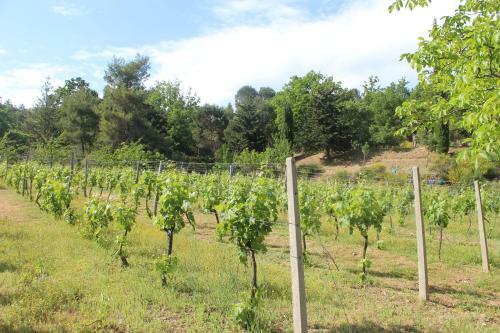 B&B Alla Palombara Di Rossano