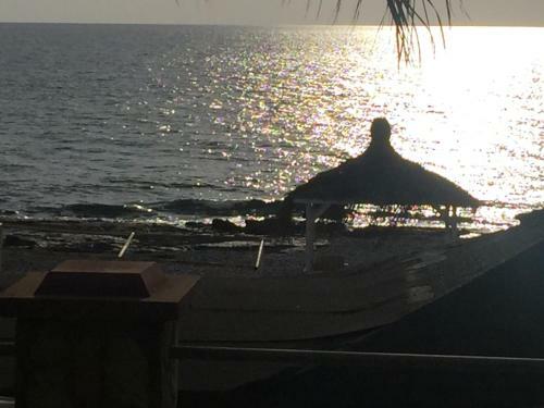 Apartamento Beachfront Fully Equipped Luxury Residence D14n