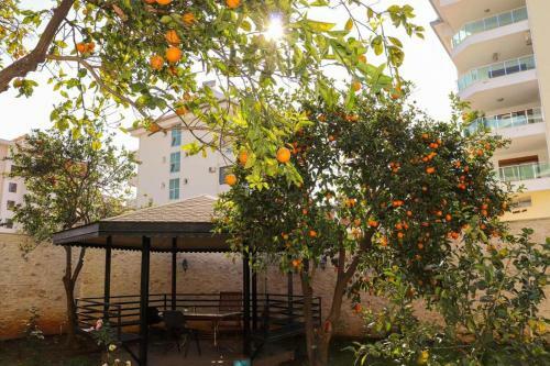 Apartamento Beachfront Fully Equipped Luxury Residence D14n