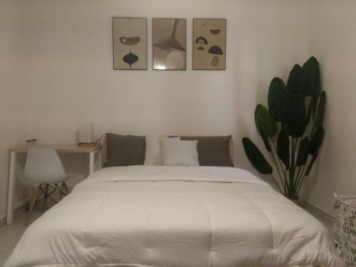 Comfortable Room In Panama City With Shared Bathroom