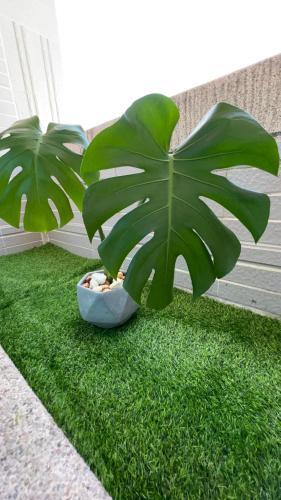 Bed & Breakfast ?????????