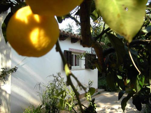 Agroturismo Tenuta Venezia